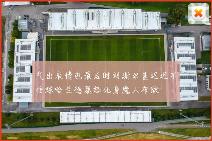气出表情包最后时刻谢尔基迟迟不传球哈兰德暴怒化身魔人布欧